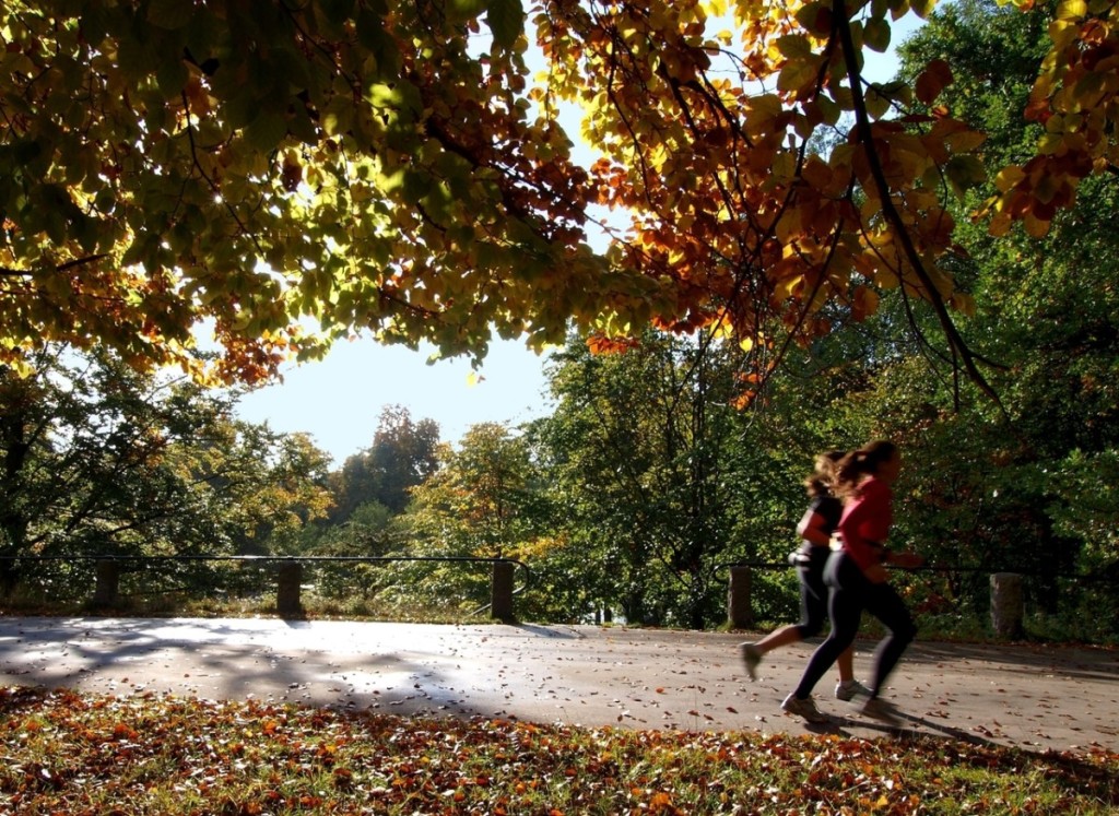 Fall runners