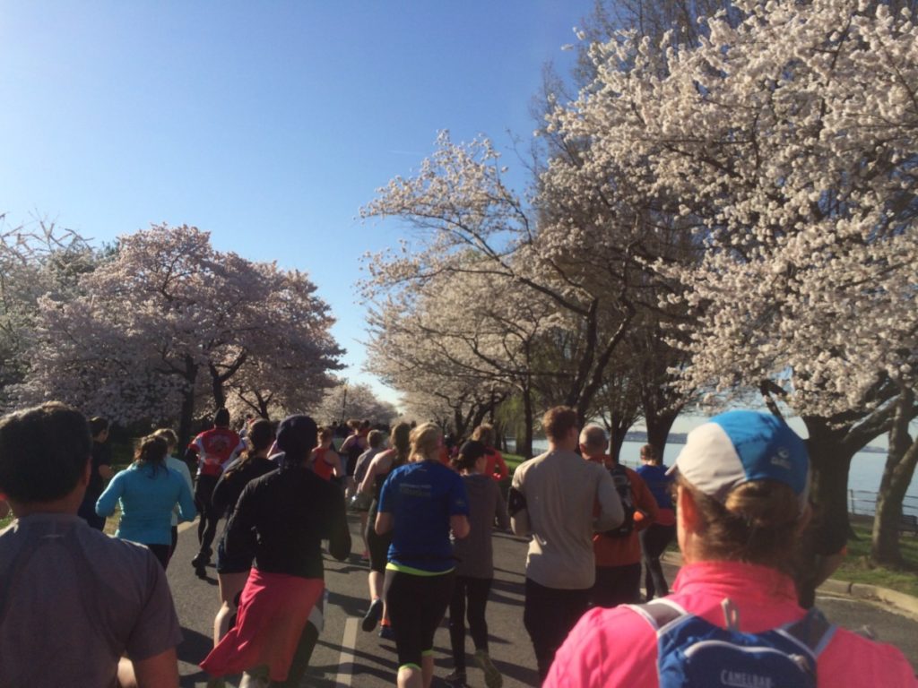 Cherry Blossom 10-Miler DC