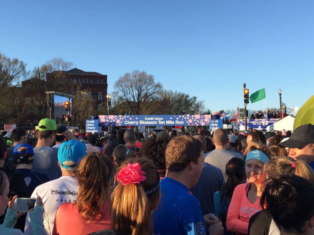 Cherry Blossom Run