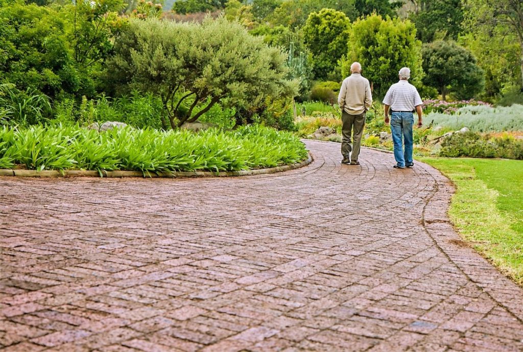 older men walking